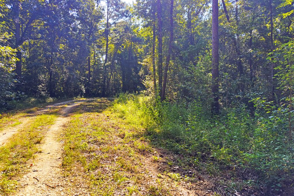 Photo of property for sale at 325 Riverside Cir Wewahitchka