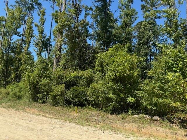 Photo of property for sale at Lot 1-3 Johnson St Wewahitchka