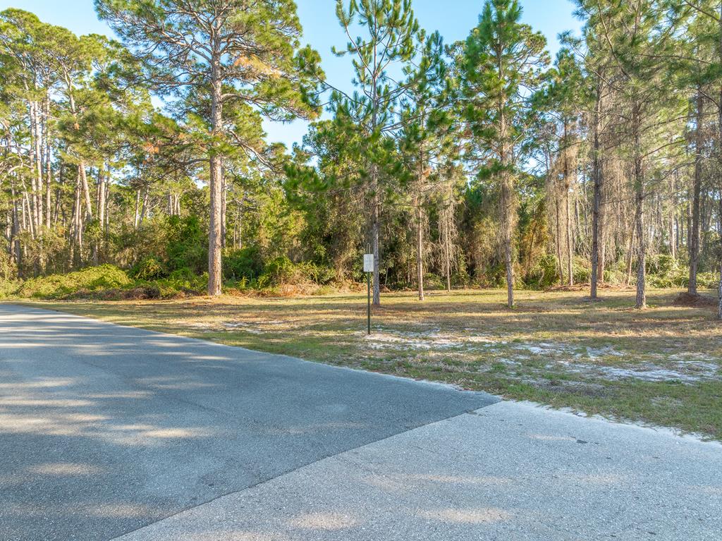 Photo of property for sale at 711 NE Ave H Carrabelle