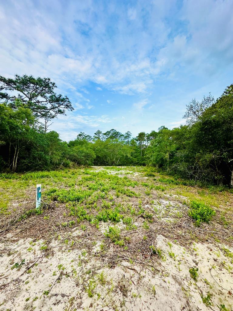 Photo of property for sale at 117 Spoonbill Ct Carrabelle