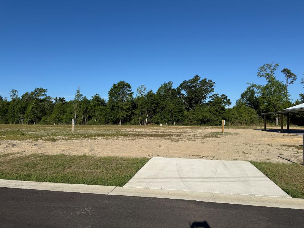 Photo of property for sale at 193 Kiera Ct Wewahitchka