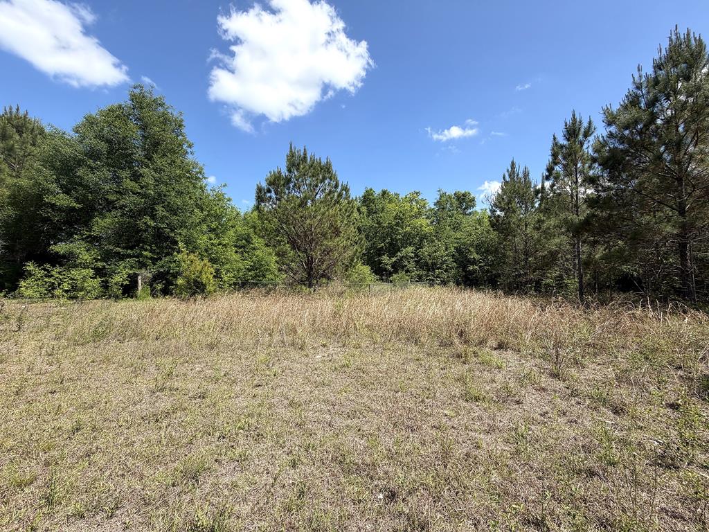 Photo of property for sale at 5581 Hwy 71 S Wewahitchka