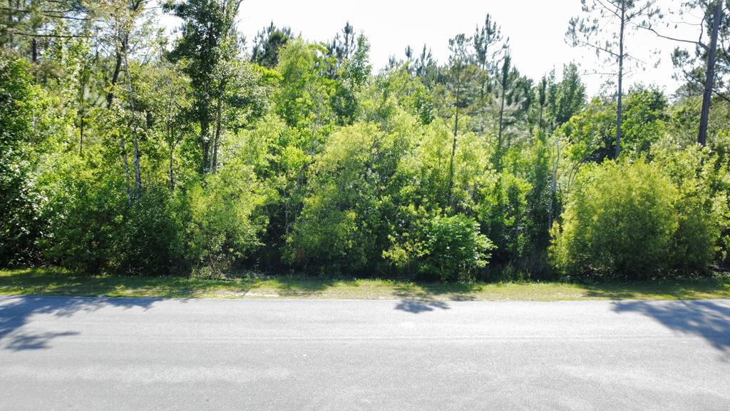 Photo of property for sale at Lot 1 Old Bay City Rd Wewahitchka
