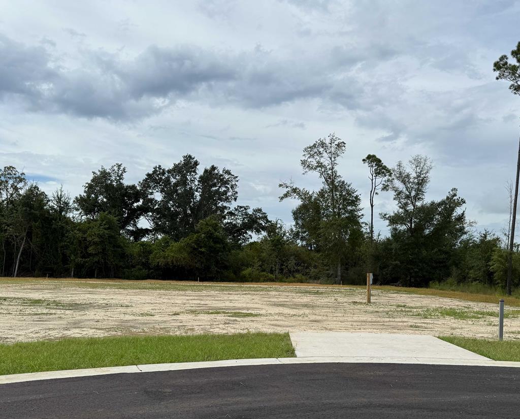 Photo of property for sale at 198 Kiera Ct Wewahitchka