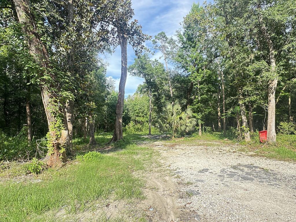 Photo of property for sale at 246 McGlon Dr Wewahitchka