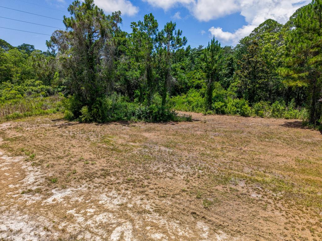 Photo of property for sale at 1103 Copesetic St Carrabelle