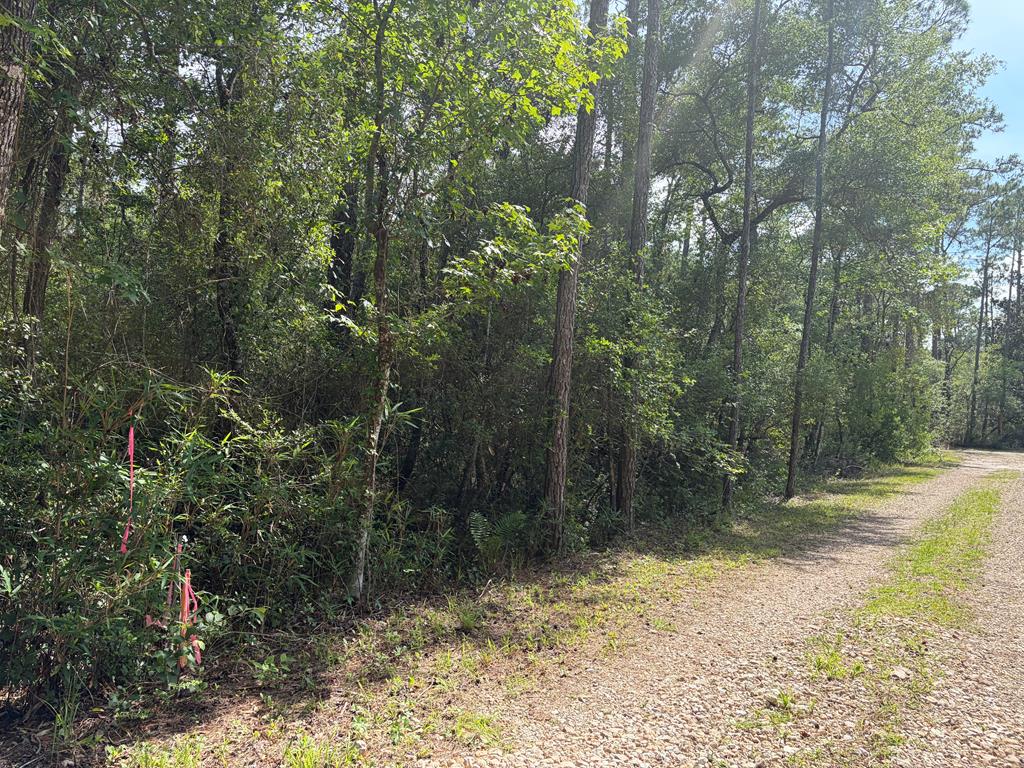Photo of property for sale at Lot 18 Pamela Pl Sopchoppy