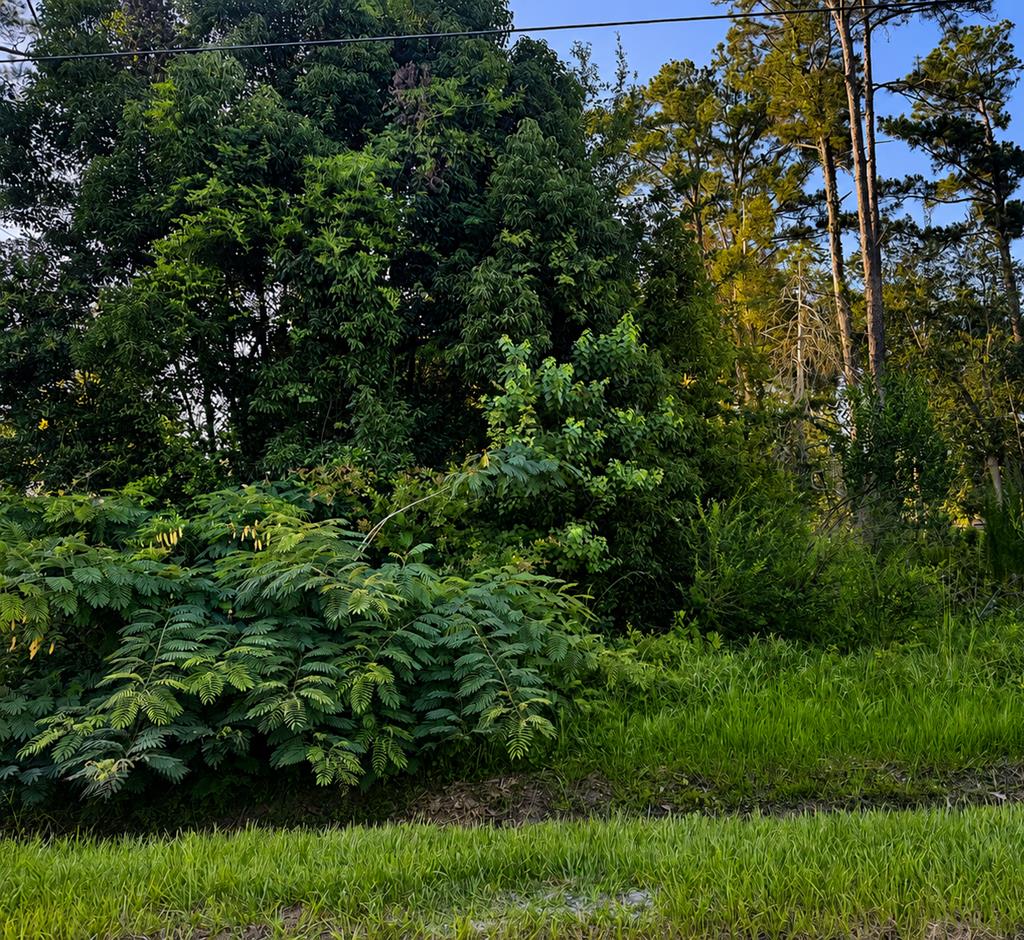 Photo of property for sale at Lot 10 Chipola Ave Wewahitchka