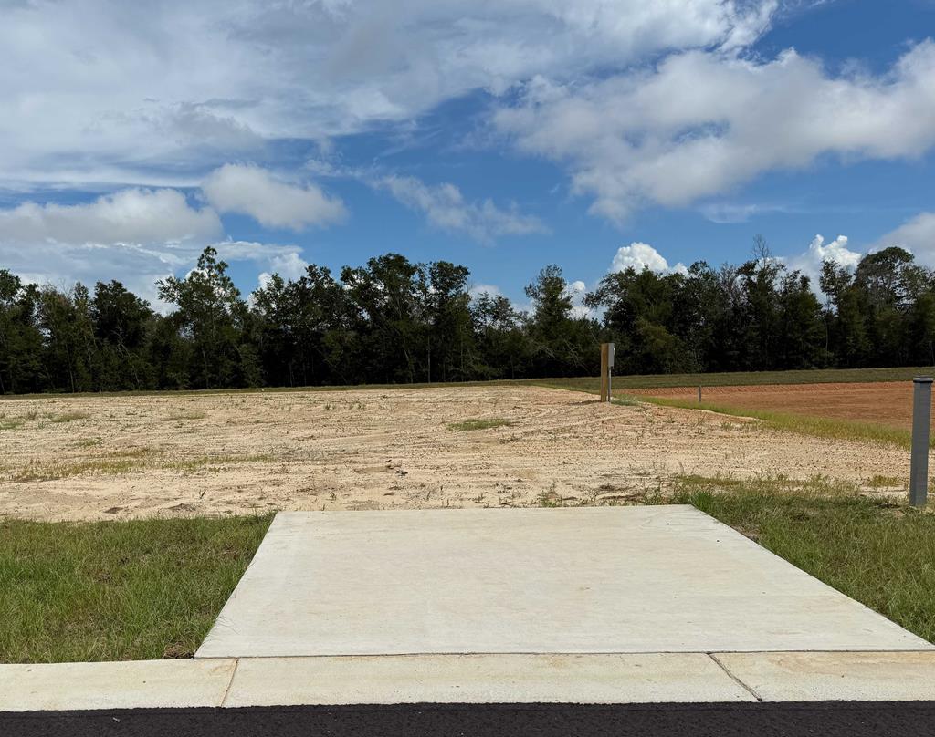 Photo of property for sale at 170 Kiera Ct Wewahitchka