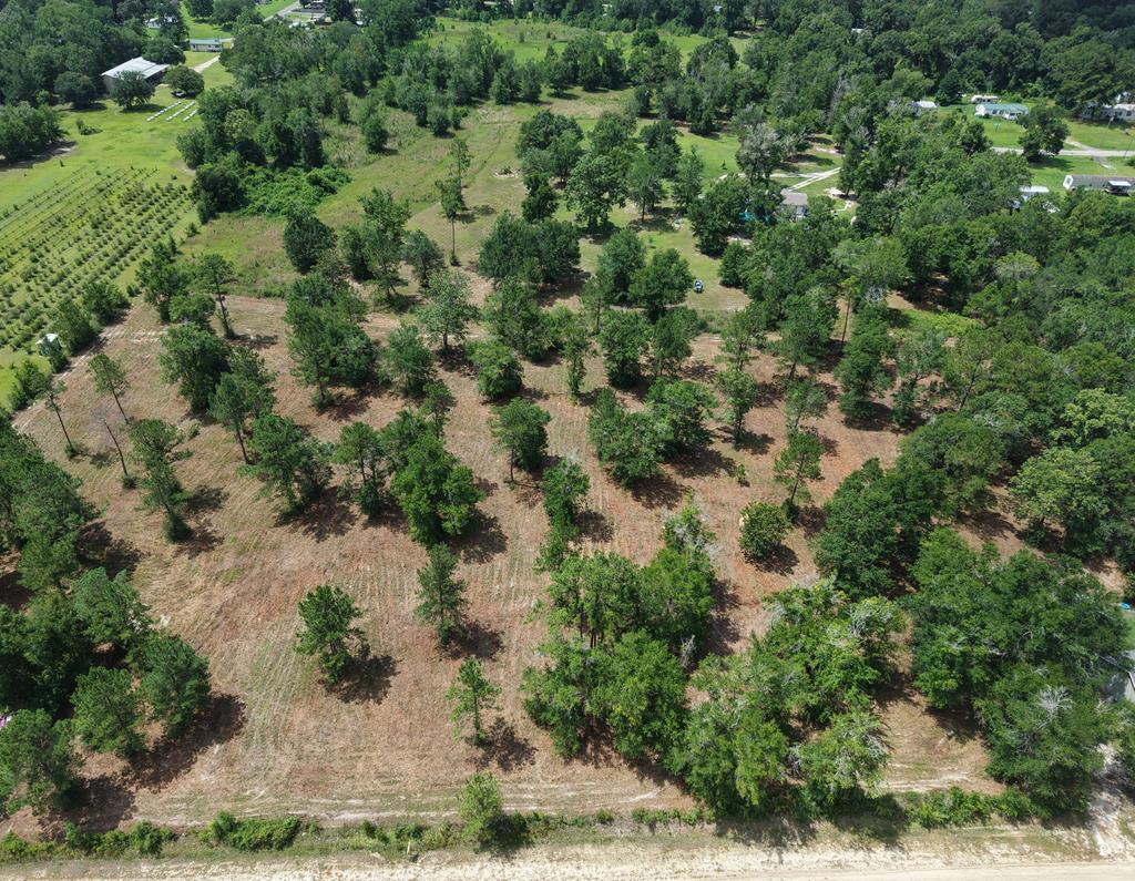Photo of property for sale at 0 Corn Griffin St Wewahitchka