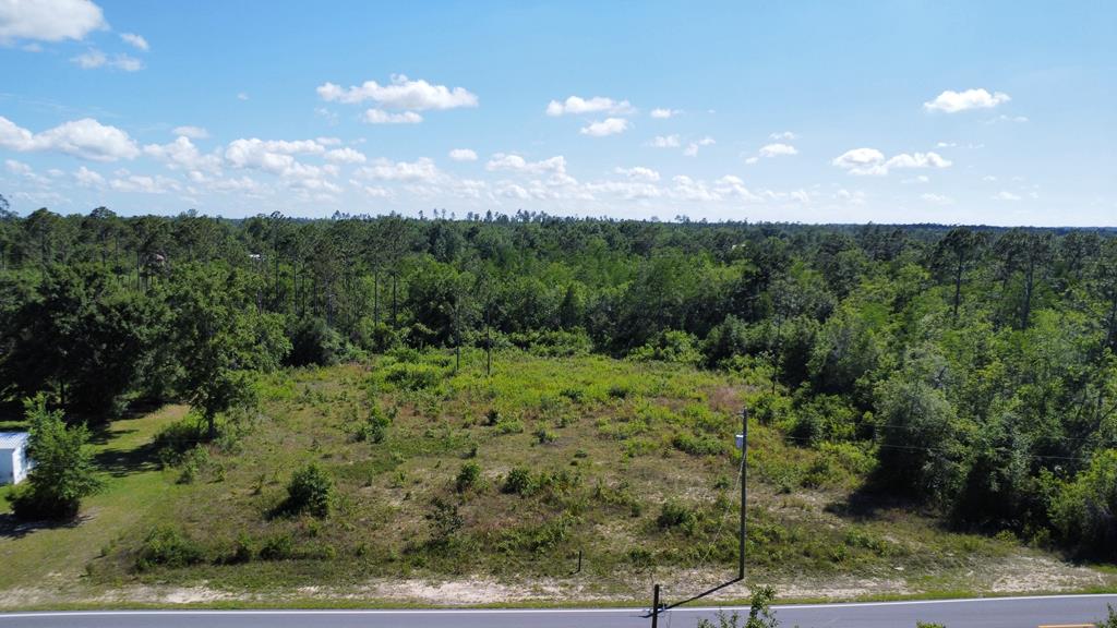Photo of property for sale at 1522 Stone Mill Creek Rd Wewahitchka