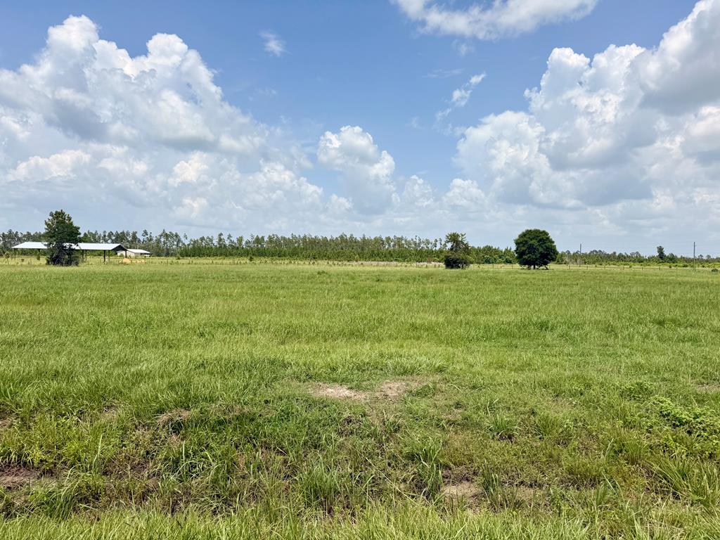 Photo of property for sale at Lot 14 Harmony St Wewahitchka