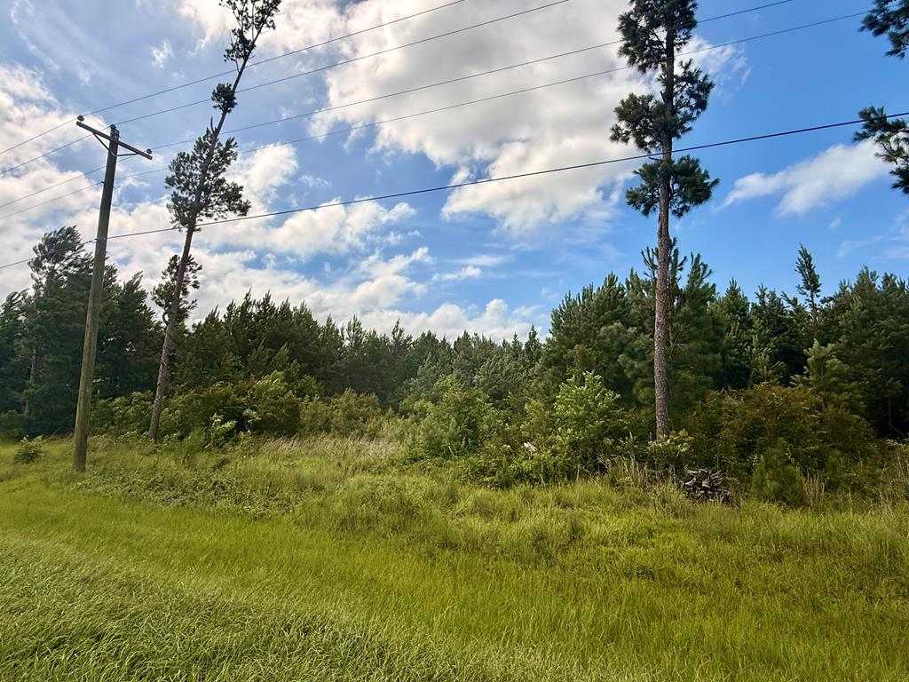 Photo of property for sale at 5861 CR 386 N Wewahitchka