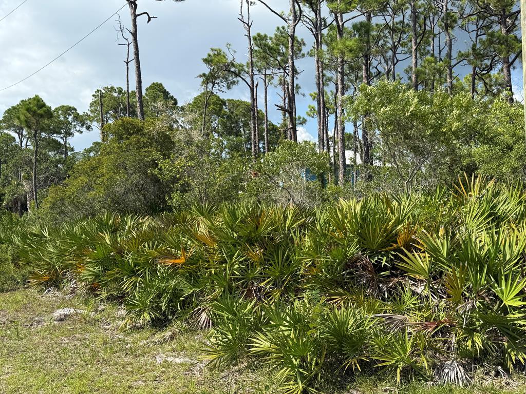 Photo of property for sale at 741 W Bay Shore Dr St. George Island