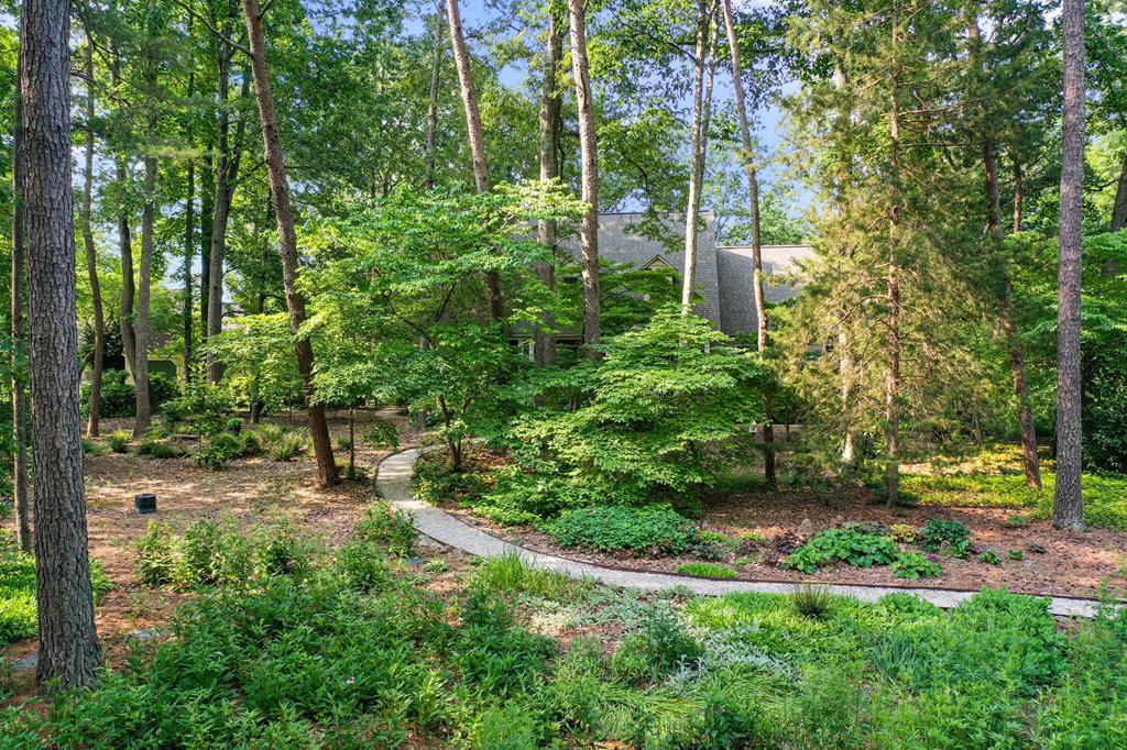 Great Wicomico Bluffs