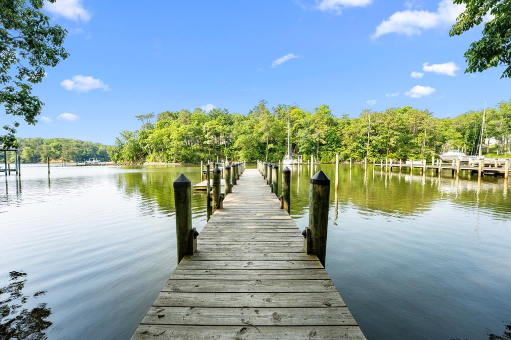 Great Wicomico Bluffs