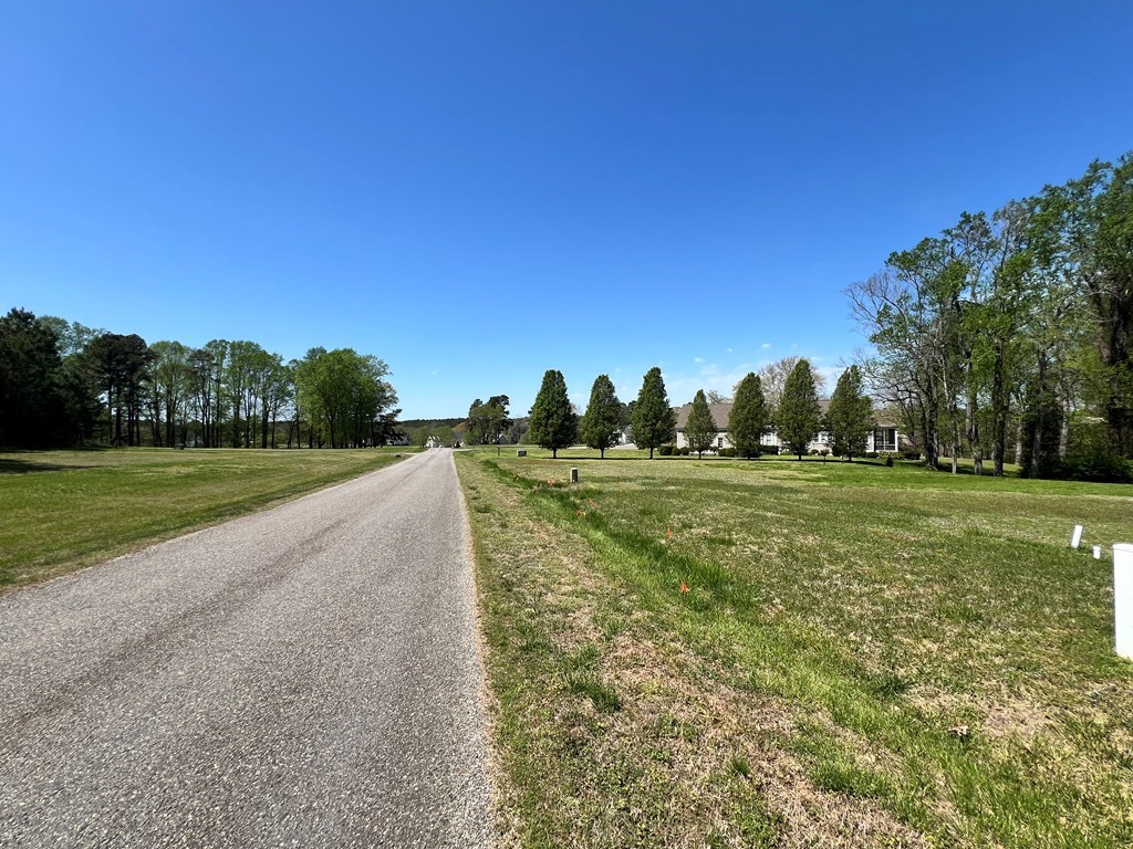 Western Branch Preserve