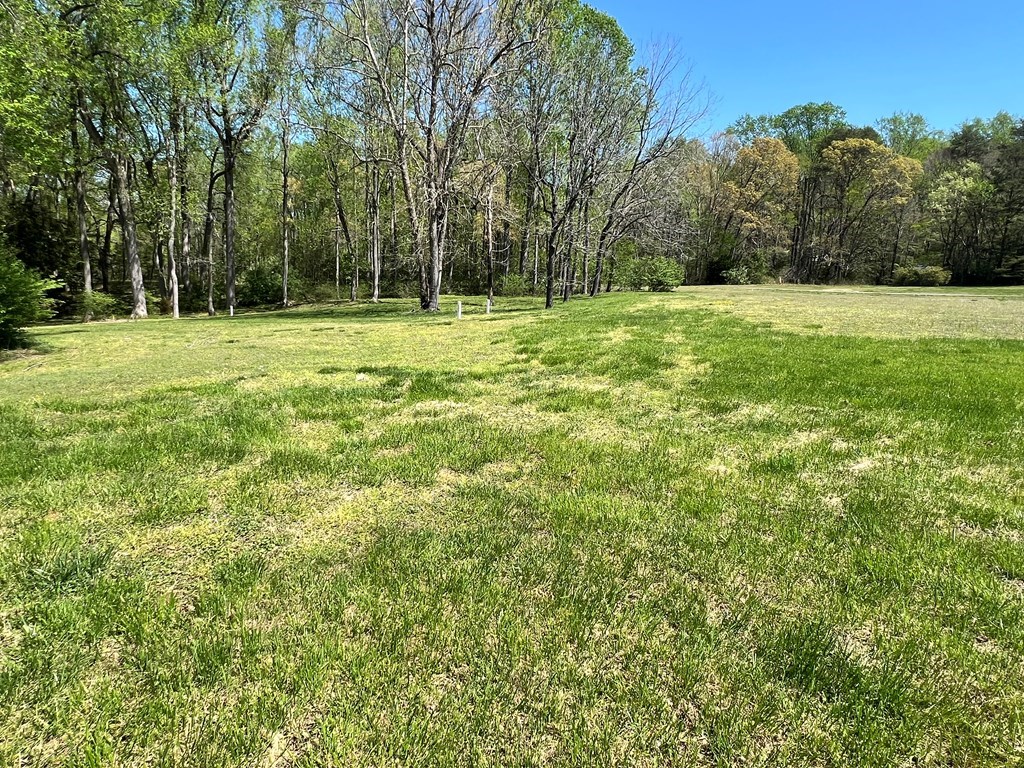 Western Branch Preserve