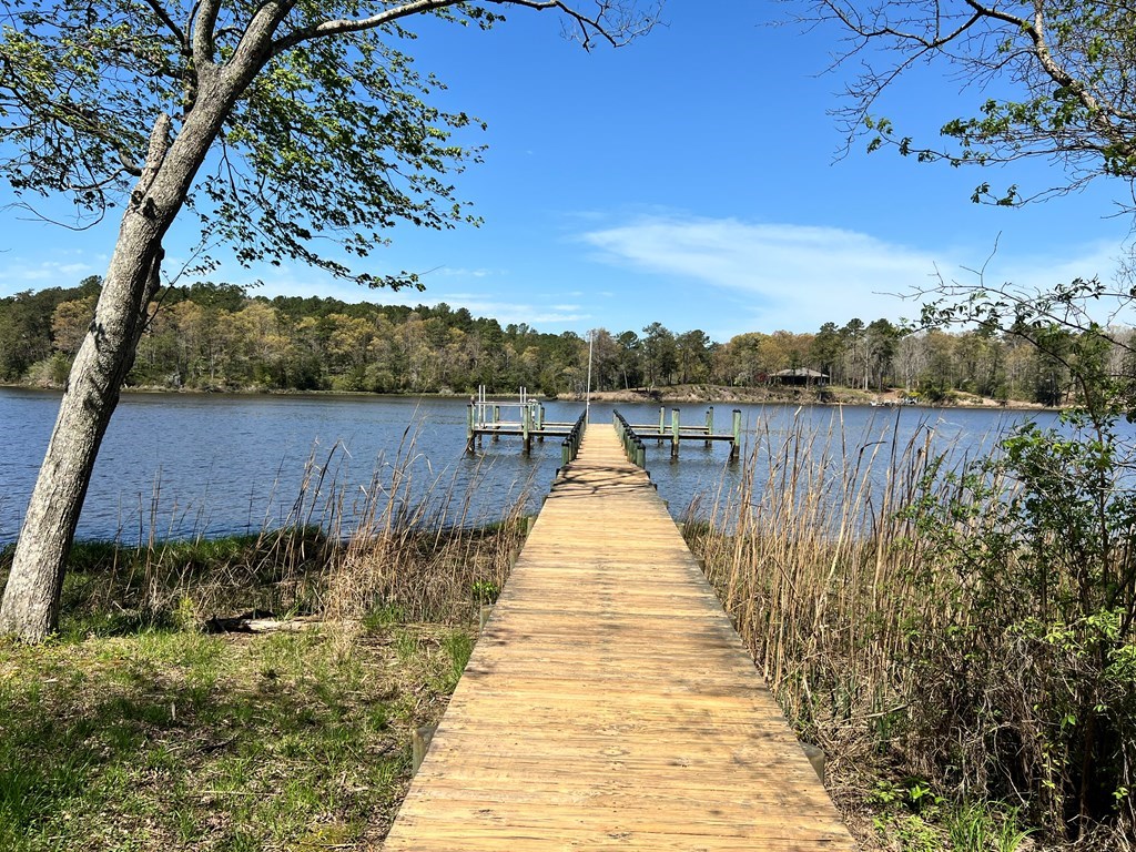 Western Branch Preserve