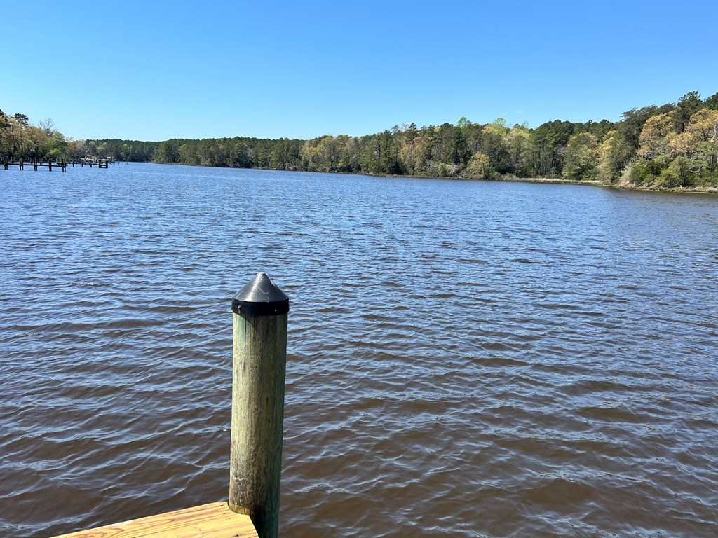 Western Branch Preserve