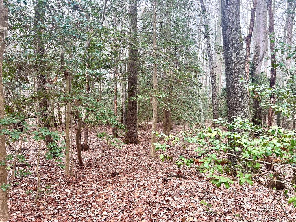 Myer's Landing