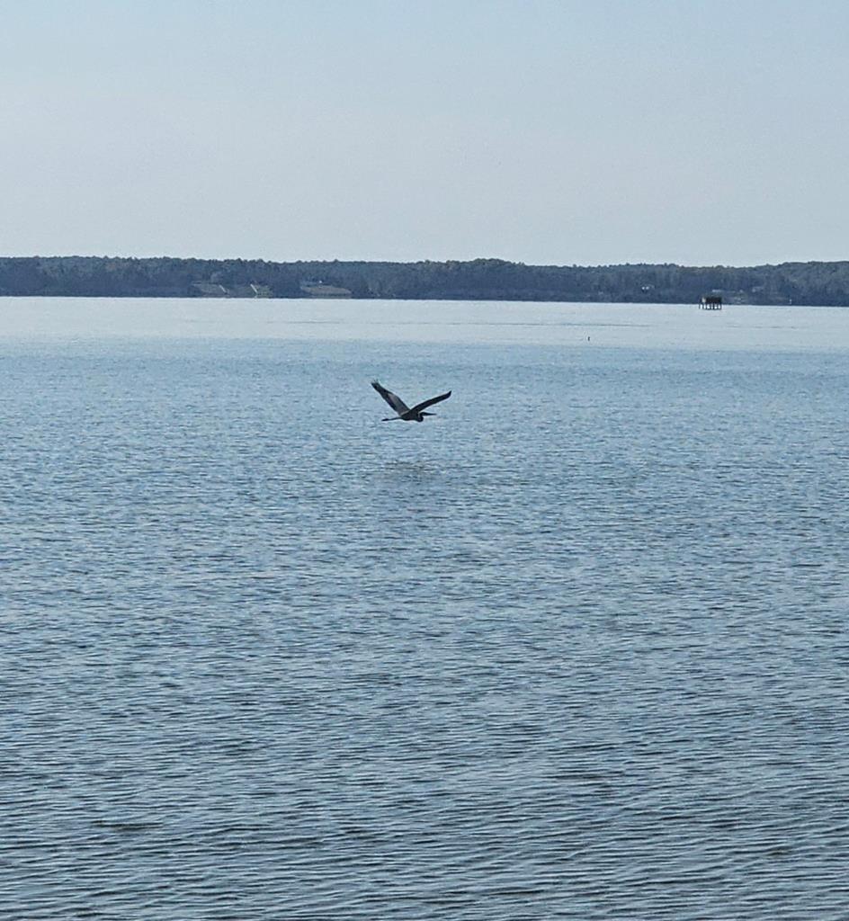 Sloop Pointe