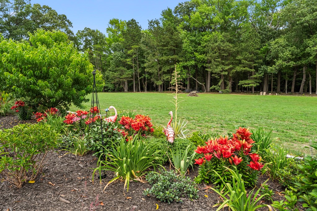Harmony Hall Farm