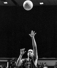 Photomosaic captures enduring images