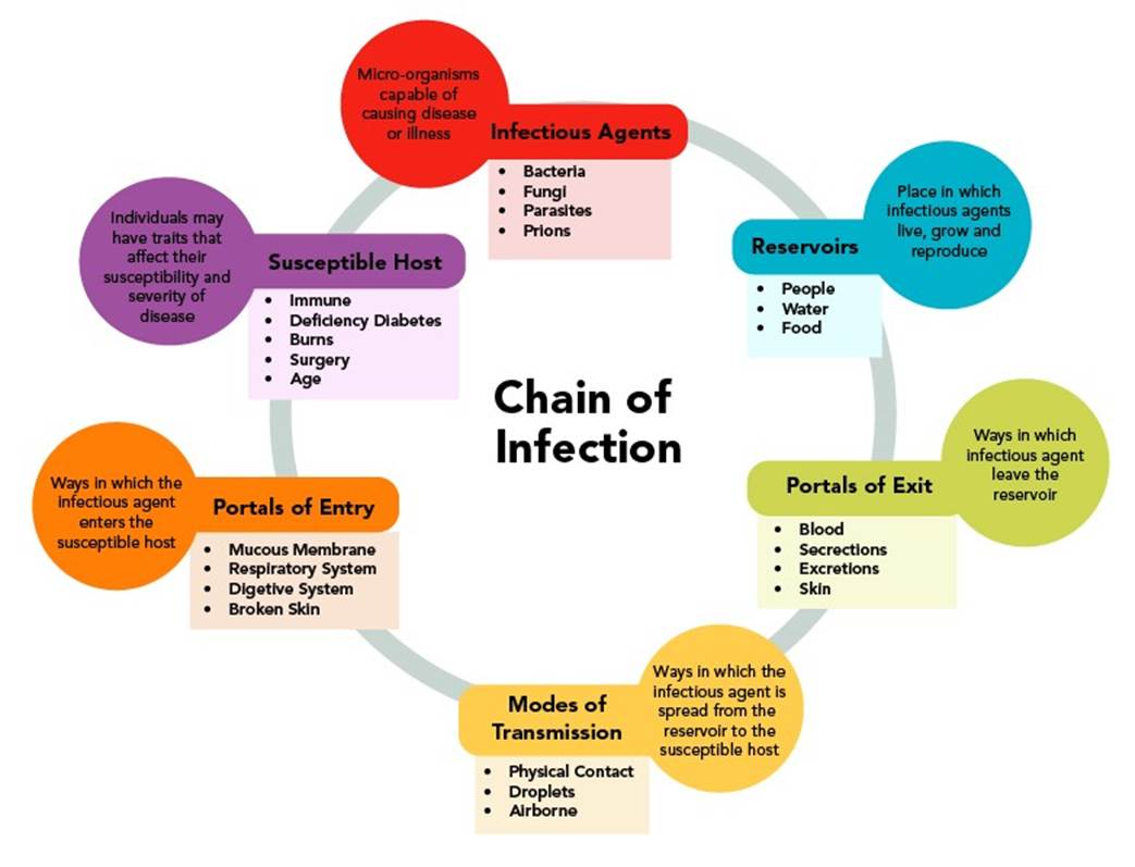 TimelineDescription automatically generated