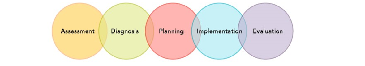 Interlocking steps of the nursing process