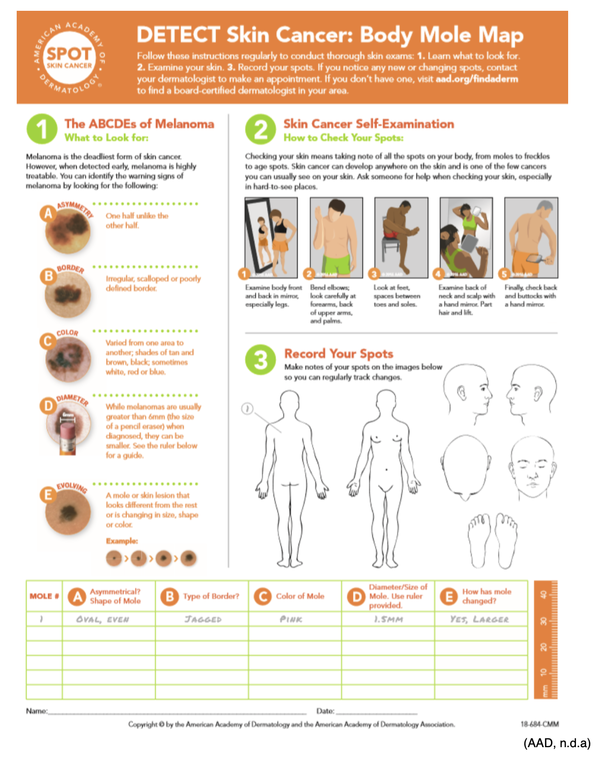 Skin Cancer Body Map
