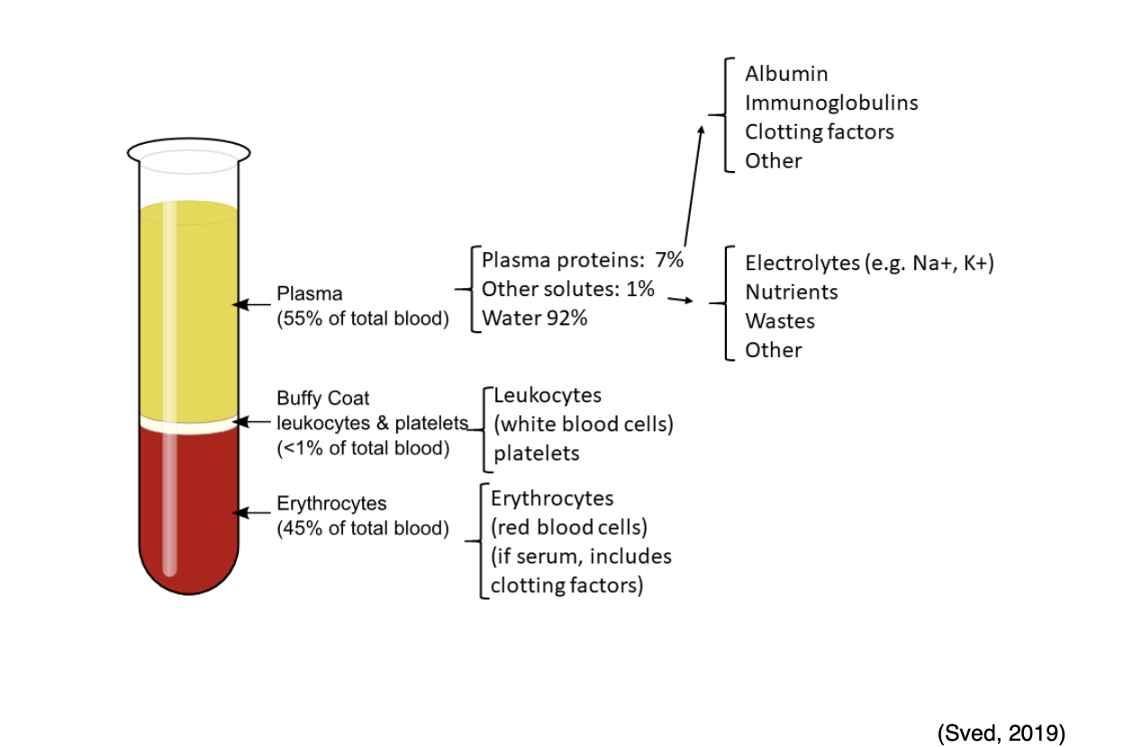 Blood Clotting and Bleeding Disorders for APRNs Nursing CE Course