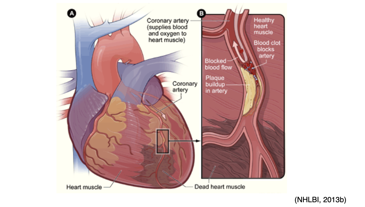 Blood Clotting and Bleeding Disorders for APRNs Nursing CE Course