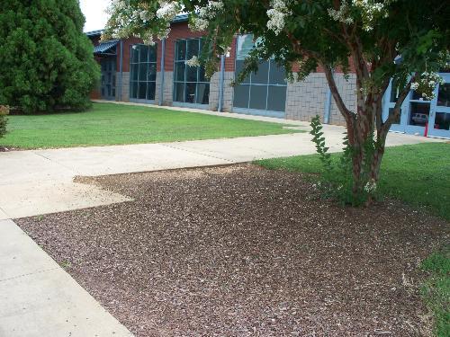 PATHWAY AND ENTRANCE