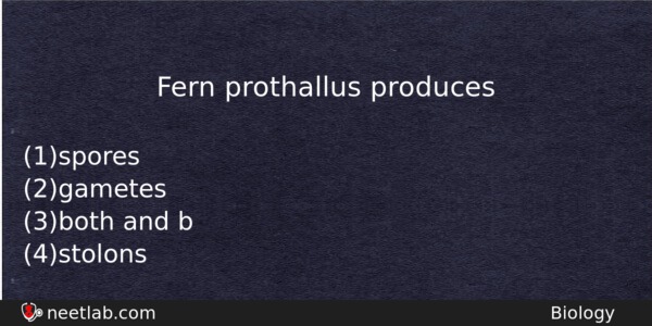 fern prothallus produces neet lab