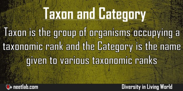 blue exam 2018 neet print between Taxon and Category NEET Lab Difference blue exam 2018 neet print between Taxon and Category NEET Lab Difference
