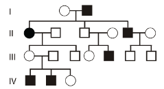 In The Following Human Pedigree The Filled Symbols