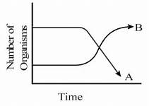the Following Graph Depicts Changes In Two Populations A And B Of Herbivores