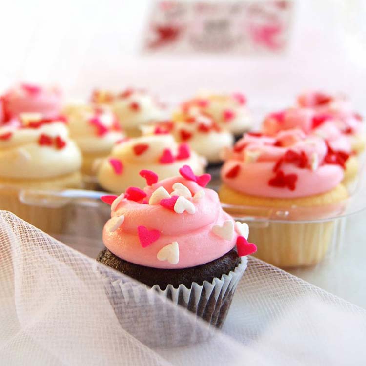 NEONSCOPE The Delicious Magnolia Cupcakes