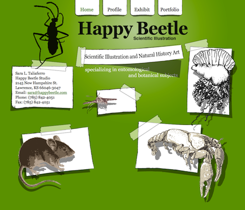 Happy Beetle