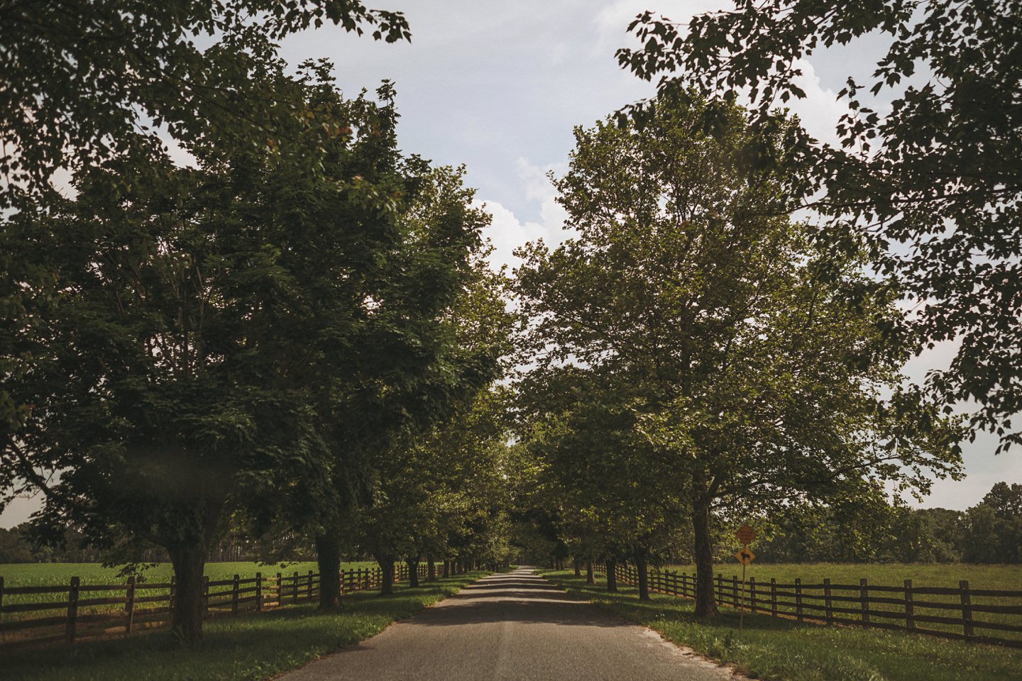 Washington DC wedding photographers