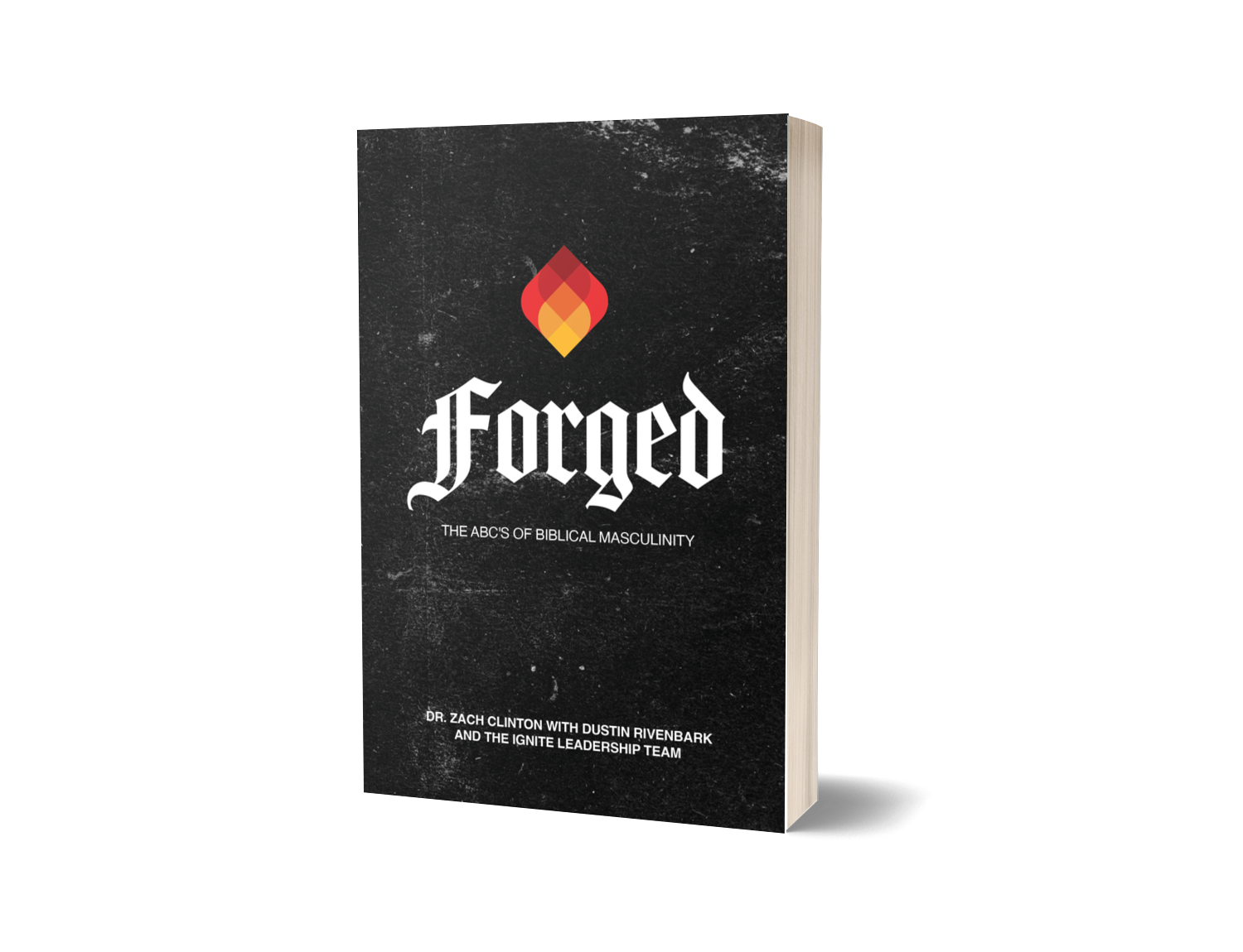 PRESALE - Forged: The ABC's of Biblical Masculinity: a 90-day Devotional
