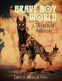 Cover Image: Brave Boy World
