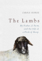 Cover Image: The Lambs