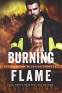 Cover Image: Burning Flame