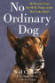 Cover Image: No Ordinary Dog
