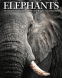 Cover Image: Elephants