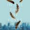 Cover Image: In the Time of Foxes