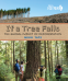 Cover Image: If a Tree Falls