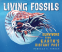 Cover Image: Living Fossils
